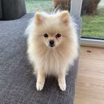 Ersteller:in Annika Profilbild