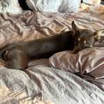 Ersteller:in Sophia Profilbild