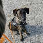 Ersteller:in Sebastian Profilbild