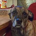 Ersteller:in Sven Profilbild