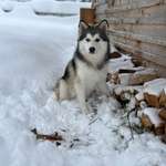 Ersteller:in Ike Profilbild