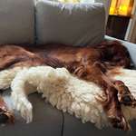 Ersteller:in Johanna Profilbild