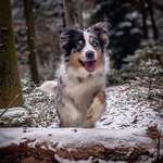 Ersteller:in Marc Profilbild