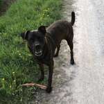 Ersteller:in Simone Profilbild