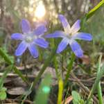 Ersteller:in Nadja Profilbild