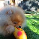 Ersteller:in Marcel Profilbild