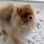 Ersteller:in Marcel Profilbild