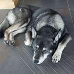 Ersteller:in Maria Profilbild