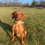 Ersteller:in Lisa Profilbild