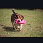 Ersteller:in Cookie Profilbild