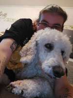 Mecklenburg-Vorpommern, Schwerin-Beitrag-Bild