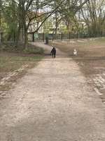 Hundeauslaufgebiet-Lichterfelde Barnackufer-Bild