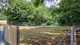 Hundeauslaufgebiet-Hundefreilaufplatz Stadt Weismain-Bild