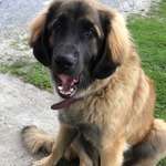 Ersteller:in Jana Profilbild