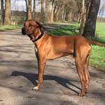 Ersteller:in Anja Profilbild