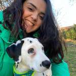 Ersteller:in Diandra Profilbild