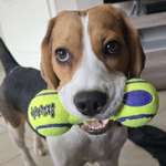 Ersteller:in Michaela Profilbild