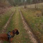 Ersteller:in Lia Profilbild