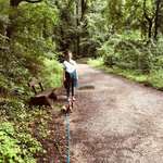 Ersteller:in Elli Profilbild