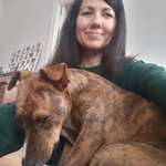 Ersteller:in Mercedes Profilbild