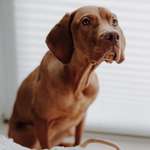 Ersteller:in Andre Profilbild