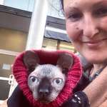 Ersteller:in Georgiana Profilbild