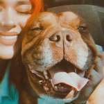 Ersteller:in Johanna Profilbild