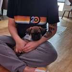 Ersteller:in Jeong-Eun Profilbild