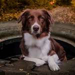 Ersteller:in Charline Profilbild