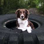 Ersteller:in Charline Profilbild