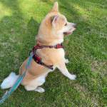 Ersteller:in Mercan Profilbild