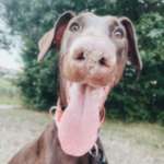 Ersteller:in Pia Profilbild