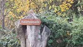 Hundeauslaufgebiet-Hubertusquelle-Bild