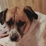 Ersteller:in Marion Profilbild