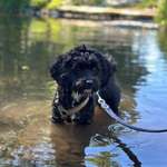 Ersteller:in Jani Profilbild