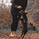 Ersteller:in Dani Profilbild