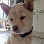 Ersteller:in Hanna Profilbild