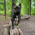 Ersteller:in La Profilbild