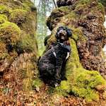 Ersteller:in Katharina Profilbild