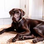 Ersteller:in Andreas Profilbild