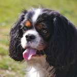 Ersteller:in Gabi Profilbild