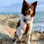 Ersteller:in Anna Profilbild