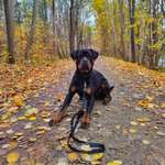 Ersteller:in Josi Profilbild