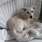 Ersteller:in Amelie Profilbild