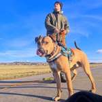 Ersteller:in Marco Profilbild