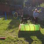 Ersteller:in Sarah Profilbild