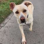 Ersteller:in Greta Profilbild