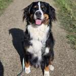 Ersteller:in Claudia Profilbild