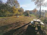 Hundeauslaufgebiet-Hundefreilauffläche Ladbergen-Bild