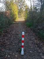 Hundeauslaufgebiet-Hundefreilauffläche Ladbergen-Bild